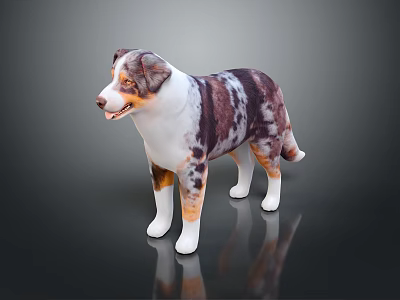 Australian Shepherd Dog With Brown White Black Spots Standing On Dark Background With Reflection 3d model