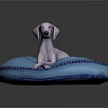 White Dog Lying On Blue Round Cushion With Decorative Trim