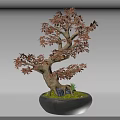 Bonsai Tree With Curved Trunk Red Leaves In Black Round Pot Green Moss And Stones