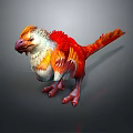 Vibrant Red Orange Feathered Creature With White Underbelly And Colorful Plumage Features