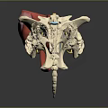 Detailed Human Anatomical Model Showing Skeleton Muscles Pelvic And Thigh Structures