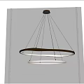 Modern Double Ring Metallic Chandelier With Illuminated Circular Design For Interior Ceiling 3d model