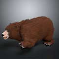 Realistic Brown Bear 3D Model With Thick Fur Standing On Gray Background 3d model