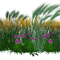 Lush Green Grasses And Purple Flowers In Garden Landscape
