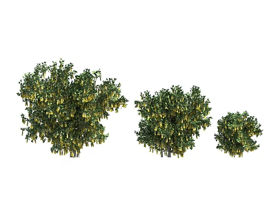 Three Green Flowering Plants Featuring Yellow Blooms in Various Sizes 3d model