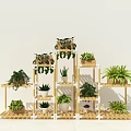 Creative Garden Decor With Multi Tiered Plant Stand Various Green Plants And Potted Succulents