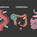 Mouth Intake Of Laxatives And Cathartics Affecting Intestinal Digestive Process
