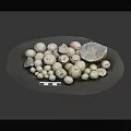 Natural Stone and Wooden Tray Collection with Assorted Sizes Colors and Ruler