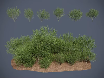 Diverse Green Shrubs Collection With Various Forms And Natural Ground Cover 3d model