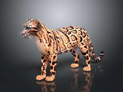 Realistic Spotted Wild Cat with Brown And Black Patterned Fur Standing on Dark Reflective Surface 3d model