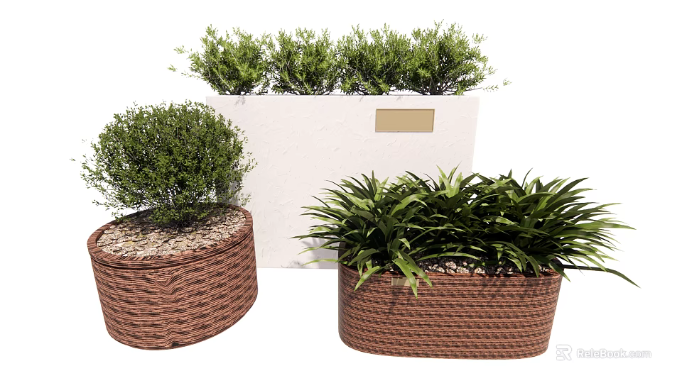 Lush Green Bonsai Potted Plants in Woven Round and Rectangular Planters 3d model 