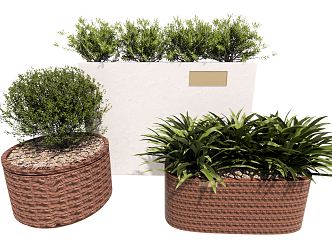 Modern Potted Plant Green Plant Potted Flower Pond Flower Trough 3d model