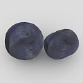 Two Fresh Juicy Round Deep Purple Blueberries on Clean Gray Background