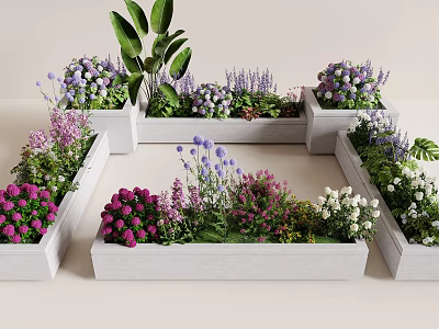 Beautiful Plant Combinations in White Planters with Purple Pink White Blooms and Green Foliage 3d model