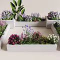 Beautiful Plant Combinations in White Planters with Purple Pink White Blooms and Green Foliage
