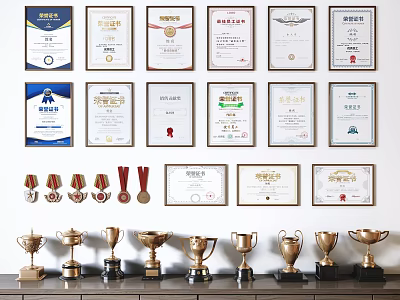 Trophies and Medals Display With Framed Certificates On Wall And Shelf 3d model
