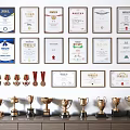 Trophies and Medals Display With Framed Certificates On Wall And Shelf