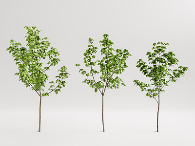 Modern Tree Landscape Tree Combination model