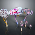 Colorful Umbrella Shaped Mushrooms With Pink White Purple Hues And Various Sizes On Dark Background