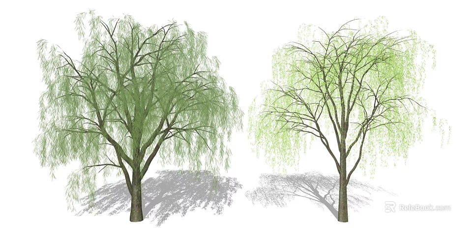 Two Graceful Willow Trees With Green And Light Green Hanging Branches And Trunks 3d model 