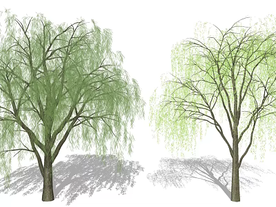 Two Graceful Willow Trees With Green And Light Green Hanging Branches And Trunks 3d model