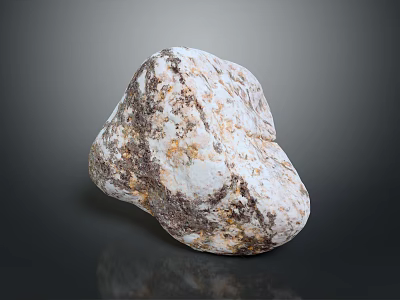 Natural Wood Stone Showing White Brown Speckled Texture And Natural Rough Surface 3d model