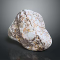 Natural Wood Stone Showing White Brown Speckled Texture And Natural Rough Surface