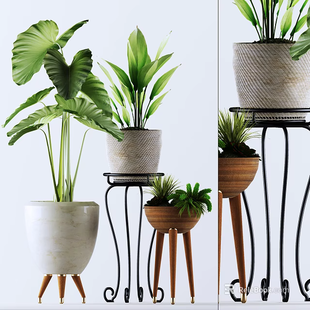 Bonsai Potted Plants Featuring Large Leafy Greens Woven Planters On Metal And Wooden Stands 3d model 