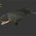 Detailed Sperm Whale 3D Model With Open Mouth And Exposed Teeth
