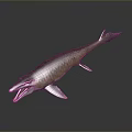 Realistic 3D Model of Prehistoric Fish With Open Mouth and Striped Body