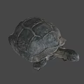 Giant Turtle Game Movie Character With Realistic Rough Shell And Textured Skin