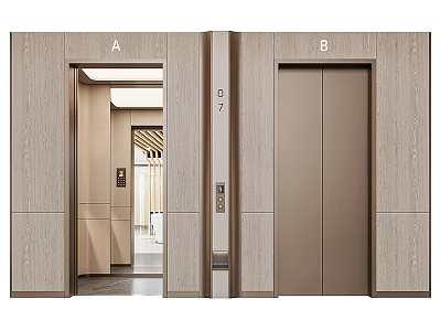 Modern Twin Elevators Featuring Metallic Doors And Wood Grain Paneling 3d model