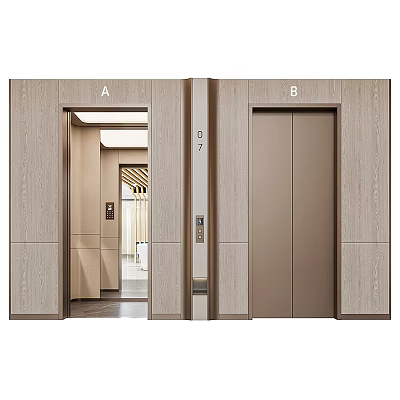 Modern Twin Elevators Featuring Metallic Doors And Wood Grain Paneling 3d model