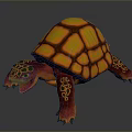 Colorful Turtle with Orange Yellow Shell and Red Green Patterned Body in 3D Rendered Illustration