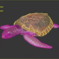 Vibrant Red And Orange Patterned Turtle With White Flippers On Dark Background 3d model