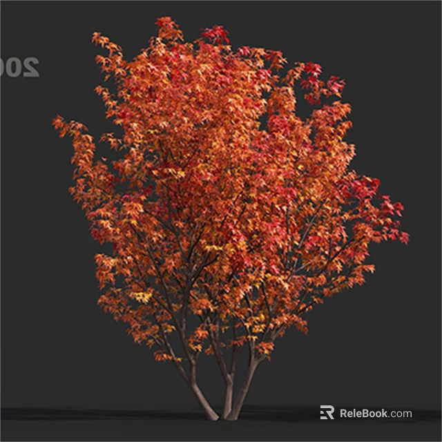 Vibrant Autumn Arbor With Red And Orange Leaves Against Dark Background 3d model 