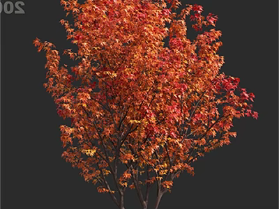 Vibrant Autumn Arbor With Red And Orange Leaves Against Dark Background 3d model