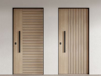 Modern swing door entry door model