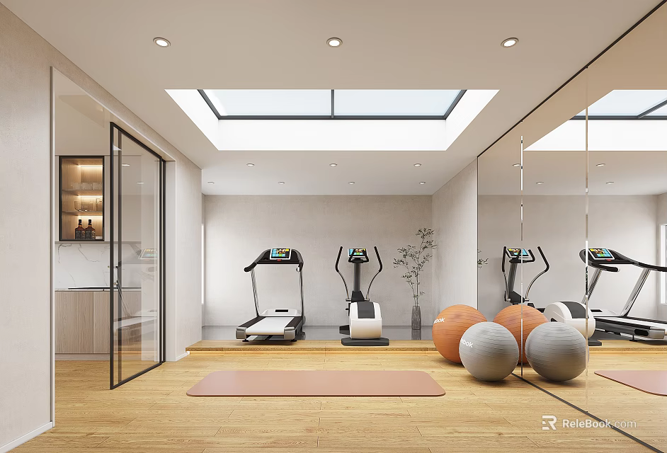 Home Entertainment Room With Fitness Equipment Yoga Mat And Skylight 3d model 