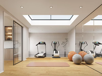 Home Entertainment Room With Fitness Equipment Yoga Mat And Skylight 3d model