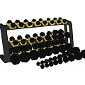 Modern dumbbell gym activity dumbbell fixed dumbbell dip dumbbell coated dumbbell electroplated dumbbell paint dumbbell fitness equipment sports equipment 3d model