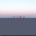 Decorative Flower Plants With Pink Purple Blooms And Green Leaves Arranged In A Row