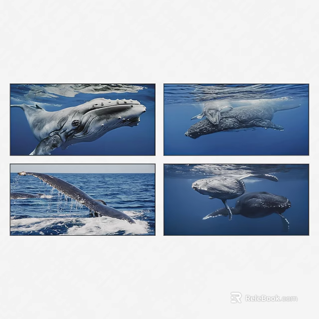 Stunning Whale Animal Paintings Series Showing Ocean Swimming And Breaching Scenes 3d model 