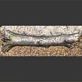 Rustic Wood Log Decorative Display With Stone Base And Gravel Details