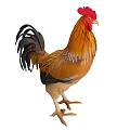 Vibrant Rooster With Red Comb Yellow Beak And Brown Black Feathers