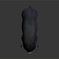 Detailed Black Plump Pig with White Hooves Isolated on Dark Background