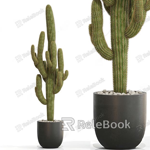 Modern potted cactus model