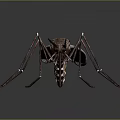 Realistic 3D Rendered Mosquito With Detailed Long Legs And Transparent Wings