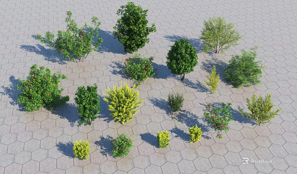 Diverse Shrubs With Green And Colorful Foliage Arranged On Hexagonal Paved Surface 3d model 