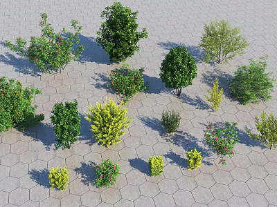 Diverse Shrubs With Green And Colorful Foliage Arranged On Hexagonal Paved Surface 3d model